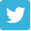 icon twitter